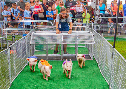 Hot Dog Pig Races at the Fair